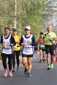 BIB: 45855, 47676, 47529
                            <button type="button" onclick="openModal(10355828)" class="btn btn-primary btn-sm float-right btn-popup" data-toggle="modal" data-target=".modal-high-quality">
                        <i class="fas fa-shopping-cart"></i> Add to Cart
                    </button>
                                            <button type="button" onclick="isThisMe(10355828, true)" class="btn btn-success btn-sm float-right btn-popup btn-isme hidden" data-toggle="tooltip" data-placement="bottom" title="นี่คือรูปของคุณใช่ไหม คลิกที่นี่เพื่อเอาเข้าอัลบั้ม">
                        <i class="fas fa-plus"></i> Add to album
                    </button>
                    <button type="button" onclick="isThisMe(10355828, false)" class="btn btn-warning btn-sm float-right btn-popup btn-isnotme hidden">
                        <i class="fas fa-ban"></i> Remove from album
                    </button>